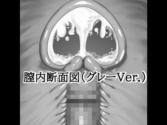 膣内断面図素材(グレーVer.) 15 d 813604pl