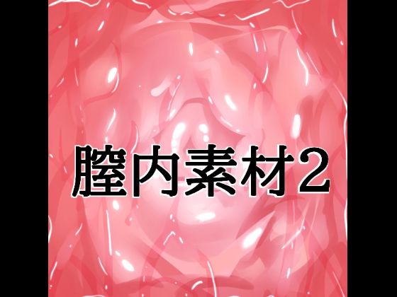 膣内素材2 9 d 824689pl