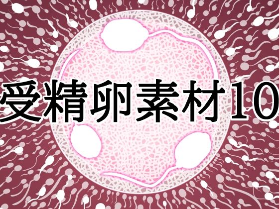 受精卵素材10 5 d 832158pl